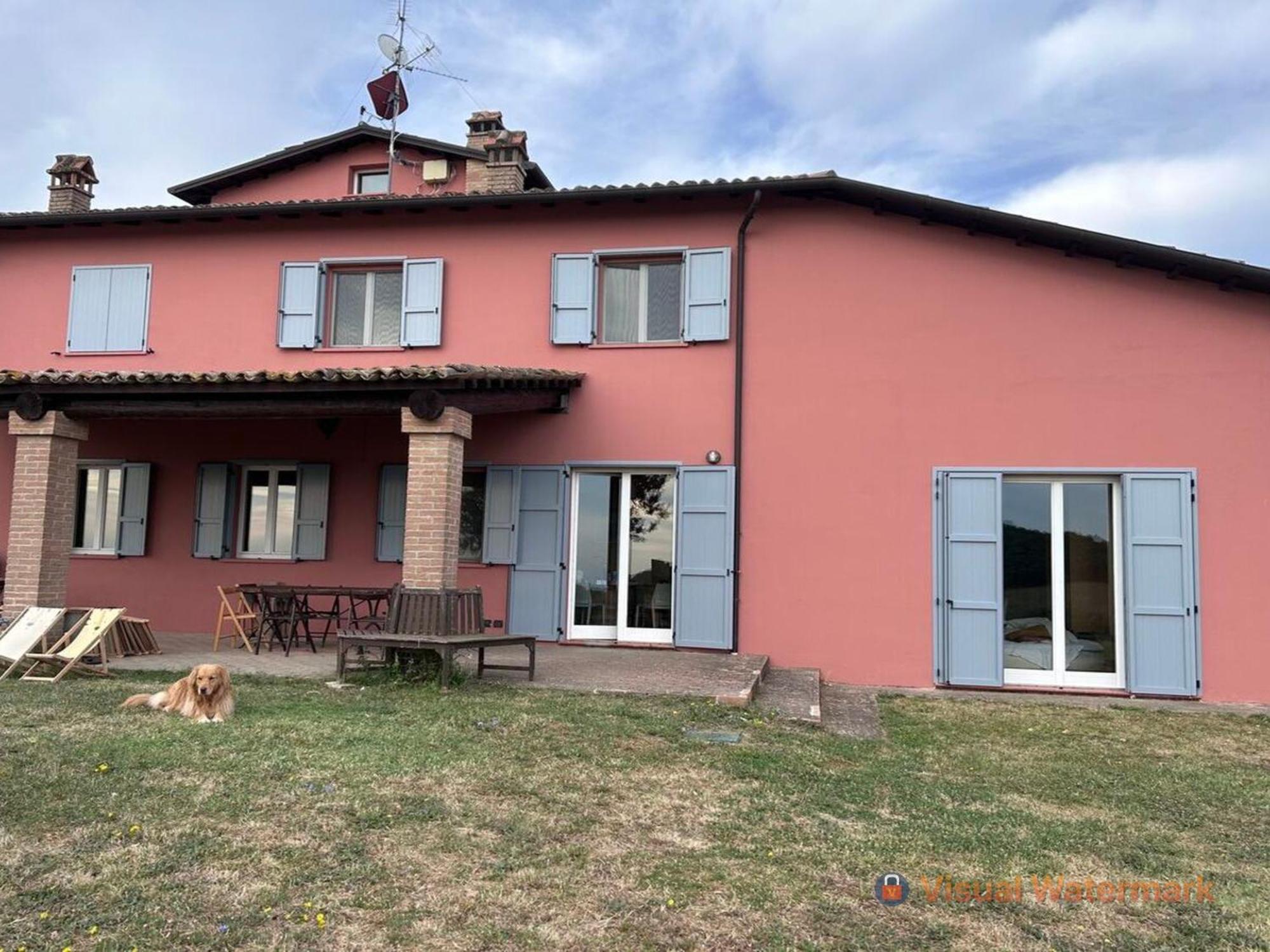 Paradiso Sulle Colline Parmensi Medesano Esterno foto